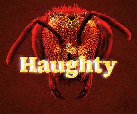 Haughty on Behance