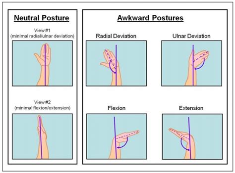 8 Fundamental Ergonomic Principles for Better Work Performance