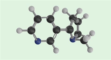 3d nicotine molecule model