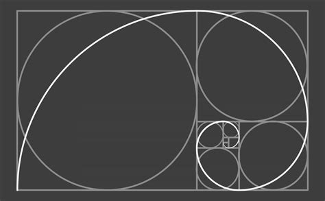 golden ratio circles with golden spiral template 2534033 Vector Art at Vecteezy