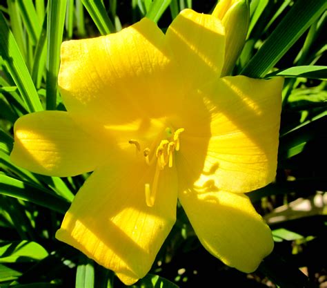 Yellow Umbrella | [Ella Fields Photography] | Flickr