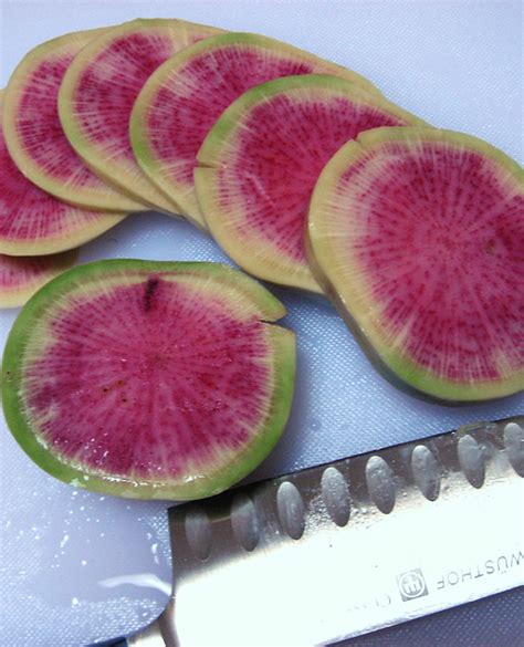 Watermelon radish | Flickr - Photo Sharing!