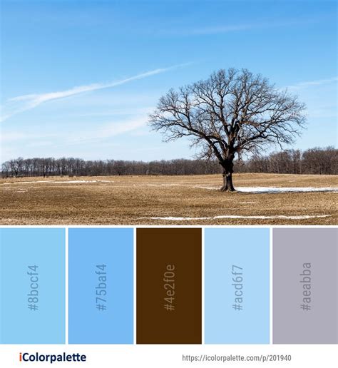 Color Palette ideas from 4803 Tree Images | iColorpalette | Palette ideas, Tree images, Color ...