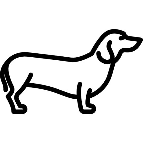 Dachshund PNG