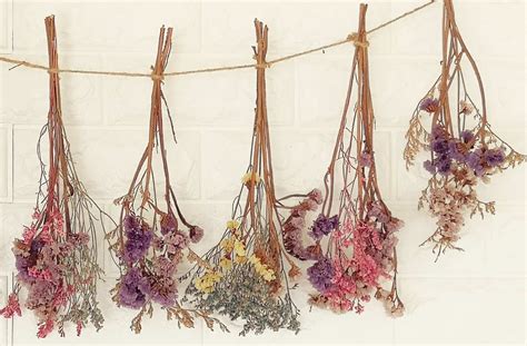 How to Hang Dry Flowers? - My Heart Lives Here