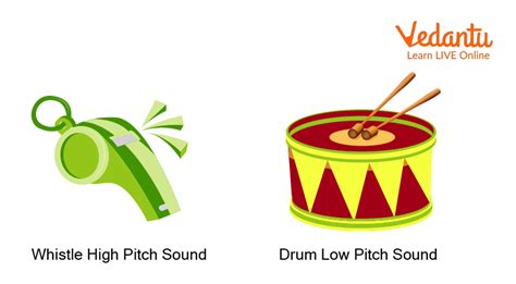 High Pitch Sound: Learn Definition, Facts & Examples