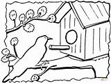 Birdhouse coloring page  Free Printable Coloring Pages sketch template