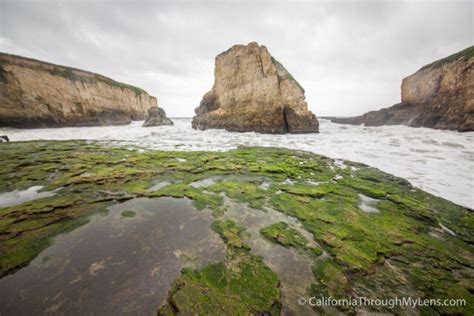 Shark Fin Cove: One of Northern California's Best Beaches - California Through My Lens