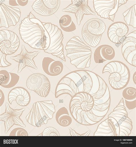 Seashell Seamless Image & Photo (Free Trial) | Bigstock