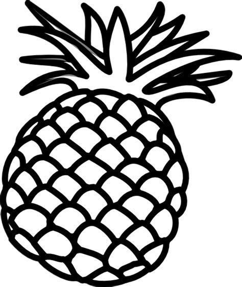 Download High Quality pineapple clip art outline Transparent PNG Images - Art Prim clip arts 2019