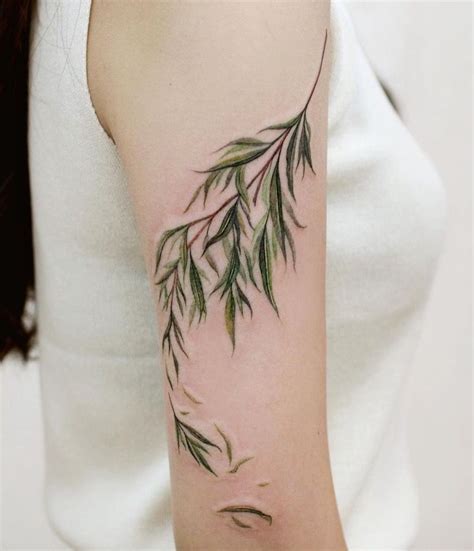 weeping willow branch tattoo | Vine tattoos, Willow tree tattoos, Tattoos