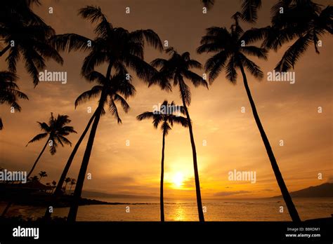 Sunset Kapalua Beach Maui Hawaii Stock Photo - Alamy