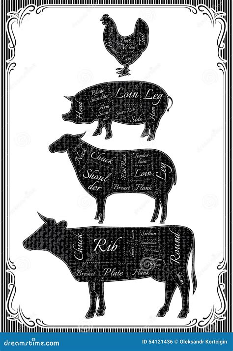 Diagram Cut Carcasses Of Chicken, Pig, Cow, Lamb Vector Illustration | CartoonDealer.com #55312970