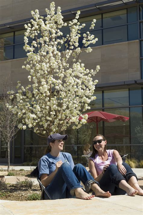 U.S. News: CSU ranks among top universities in the country