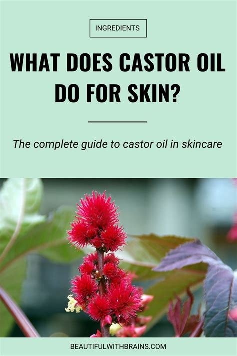 6 Benefits And Uses Of Castor Oil For Skin – Beautiful With Brains