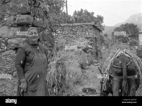 Rural scenes, Loutro, Crete, Greek Islands, Greece Stock Photo - Alamy