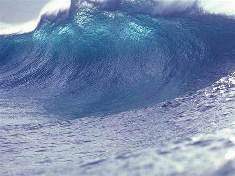 Wave,water,sea,tsunami,giant wave - free image from needpix.com