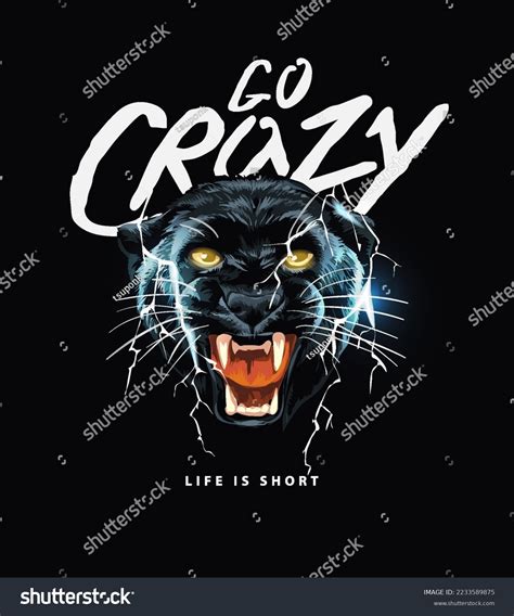 Go Panthers: Over 90 Royalty-Free Licensable Stock Vectors & Vector Art | Shutterstock