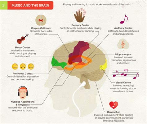 The Mozart Effect: A Placebo Effect – Mozart Project