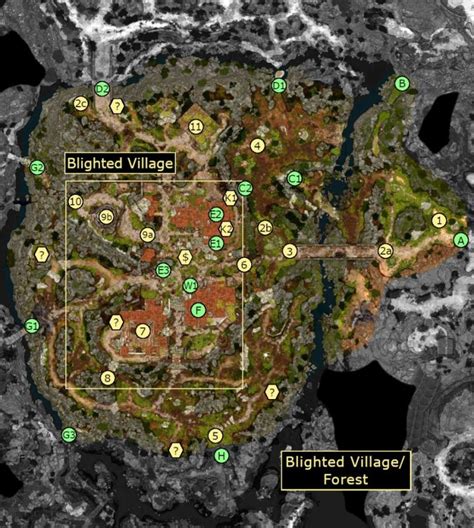 Blighted Village and Forest - Baldur's Gate 3 - EIP Gaming