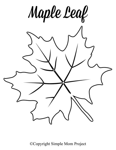 Free Template Of A Leaf