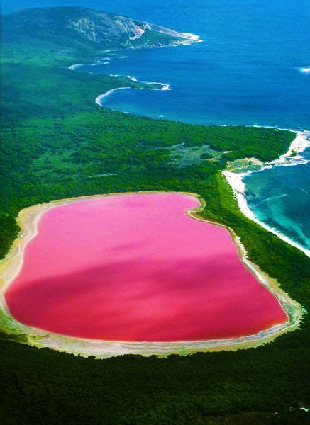 Lake Hillier, In Western Australia 'Pink Color Water' | Found The World