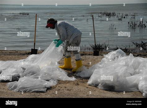 Deepwater Horizon oil spill beach cleanup Stock Photo - Alamy