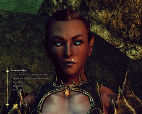 Oblivion Character Overhaul version 2 at Oblivion Nexus - mods and ...