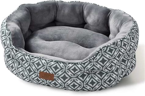 Amazon.ca: cat beds