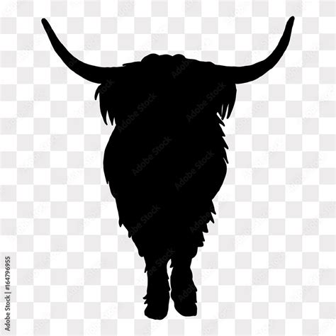 Highland Cow silhouette looking forward on a transparent background. Stock Vector | Adobe Stock