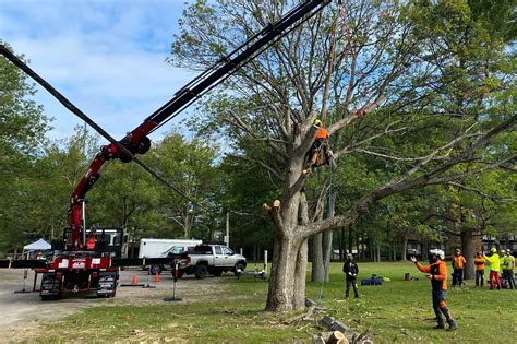 NJ Crane Expert - Updated Safety Standards for Tree Care Operations ...