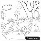 아이들을 위한 메뚜기 색칠 페이지  프리미엄 벡터 sketch template