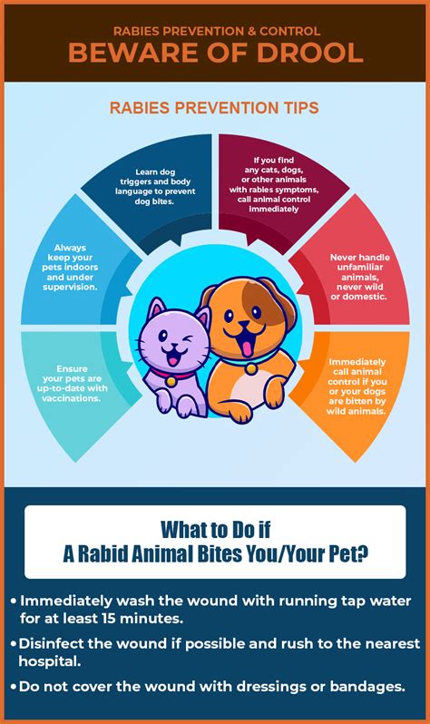 World Rabies Day 2023- Protect Your Dog from Rabies - Pet Lovers Diary