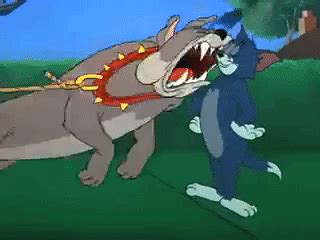 Spike Tom And Jerry Angry