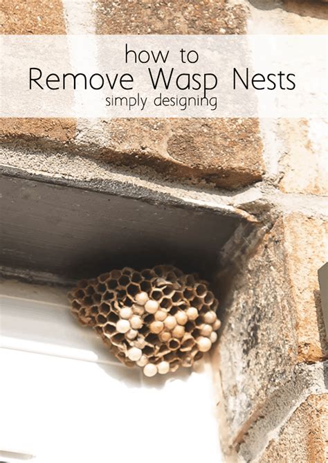 How to Get Rid of a Wasps Nest | Simply Designing with Ashley