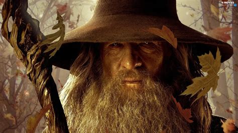 Leaf, Ian McKellen, Gandalf - Movies wallpapers: 1920x1080