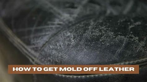 How To Get Mold Off Leather (A Step-by-Step Guide)