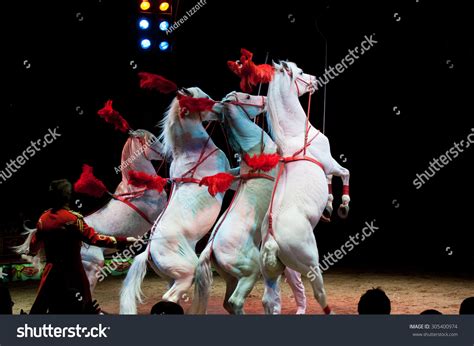 5.039 Circus Horses Show Images, Stock Photos & Vectors | Shutterstock