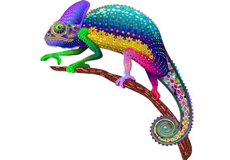 Colorful Chameleon Transparent | PNG All