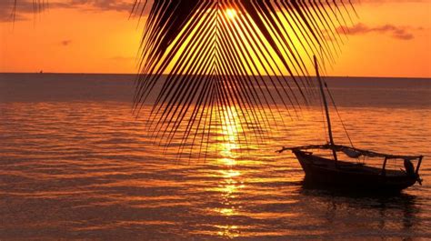 Dhow Sunset Cruise Zanzibar by Zanzibar Tours & Travel | Bookmundi