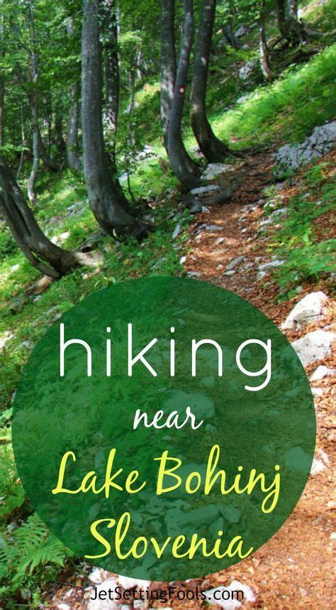 5 hiking trails near lake bohinj slovenia – Artofit