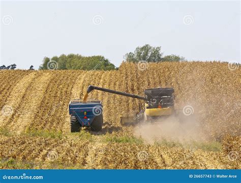 Iowa Cornfields stock image. Image of green, iowa, farmland - 26657743