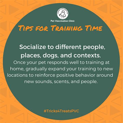 Tricks for Treats - Tips for Training Your Dog — Pet Vaccination Clinic