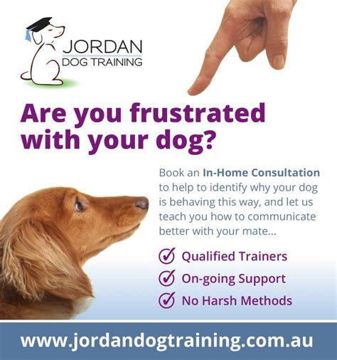 In-Home Dog Behaviour Training | Brisbane | Jordan Dog Training