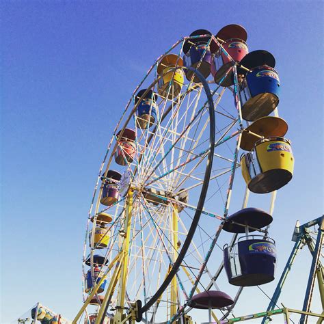 Middle grade research, or How I overcame my fear of heights/amusement ...