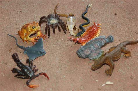 Venomous Creatures & Bugs from Safari Ltd. #Giveaway