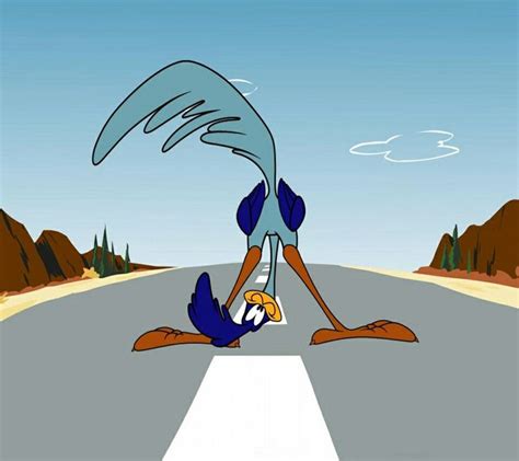 Road Runner ... Looney Tunes Characters, Looney Tunes Cartoons, Classic Cartoon Characters ...