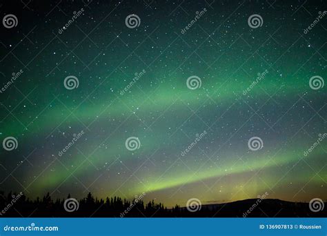 Aurora Light on the Winter Sky in Alaska Stock Image - Image of iceland ...