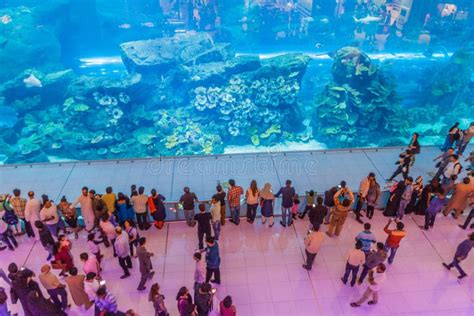 DUBAI, UAE - MARCH 10, 2017: People Watch Dubai Aquarium Underwater Zoo in the Dubai Mall, One ...