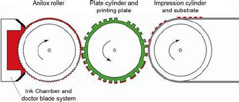 The flexographic printing process | Download Scientific Diagram